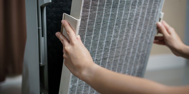 The expert is going to clean the air purifier filter.