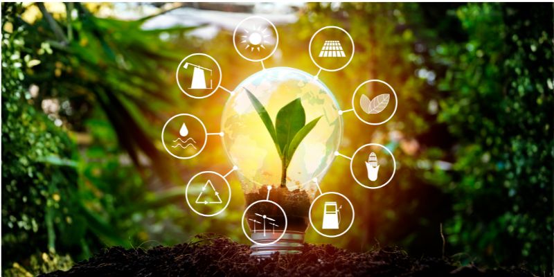 A small green seedling surrounded by icons representing safe energy conservation methods, visually explaining what is energy conservation and how sustainable practices support environmental growth.